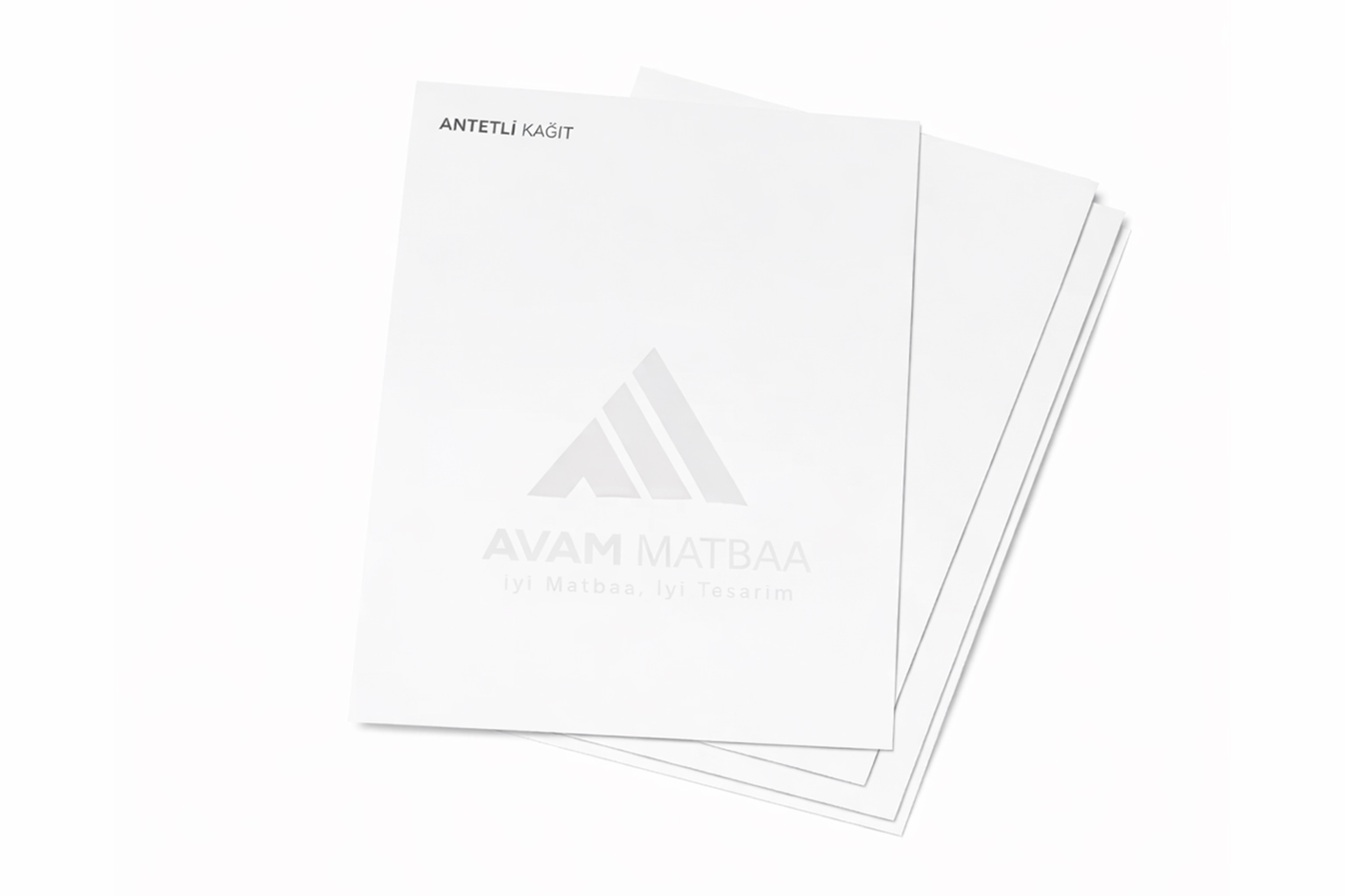Üst üste yerleştirilmiş antetli kağıt baskıları, Avam Matbaa filigran logosu ve sade kurumsal tasarımıyla açık gri zeminde gösteriliyor.