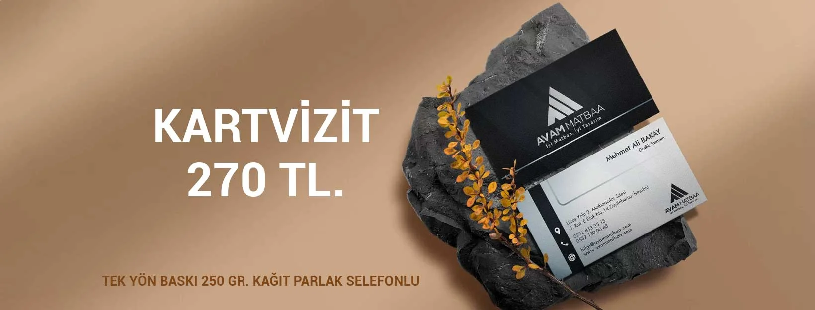 250 gr Amerikan Bristol Parlak Selefonlu Ekonomik Kartvizit