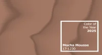 Pantone 2025 Yılın Rengi: Mocha Mousse (PANTONE 17-1230)
